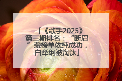 《歌手2025》第三期排名：“断眉”袭榜单依纯成功，白举纲被淘汰