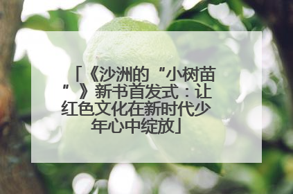 《沙洲的“小树苗”》新书首发式：让红色文化在新时代少年心中绽放