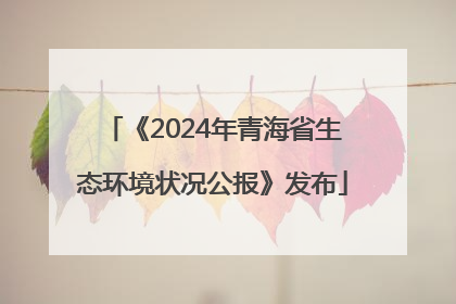 《2024年青海省生态环境状况公报》发布