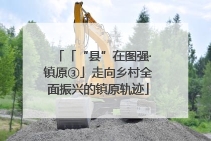 「“县”在图强·镇原③」走向乡村全面振兴的镇原轨迹