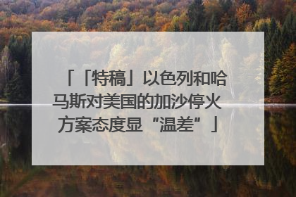 「特稿」以色列和哈马斯对美国的加沙停火方案态度显“温差”