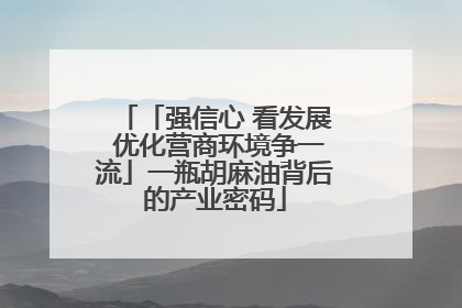 「强信心 看发展 优化营商环境争一流」一瓶胡麻油背后的产业密码