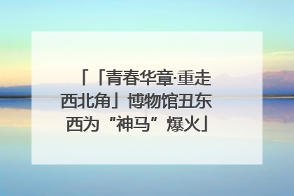 「青春华章·重走西北角」博物馆丑东西为“神马”爆火