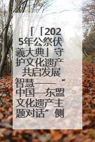 「2025年公祭伏羲大典」守护文化遗产 共启发展智慧——“中国—东盟文化遗产主题对话”侧记