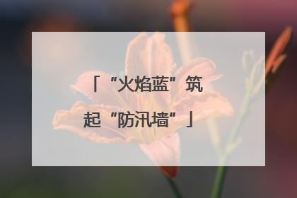 “火焰蓝”筑起“防汛墙”