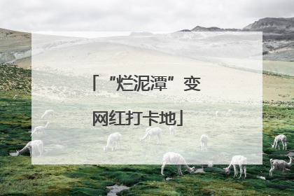 “烂泥潭”变网红打卡地