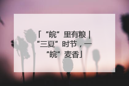 “皖”里有粮｜“三夏”时节，一“皖”麦香