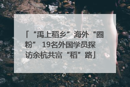 “禹上稻乡”海外“圈粉” 19名外国学员探访余杭共富“稻”路