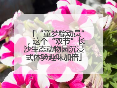 “童梦粽动员”，这个“双节”长沙生态动物园沉浸式体验趣味加倍