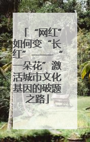 “网红”如何变“长红”——“一朵花”激活城市文化基因的破题之路
