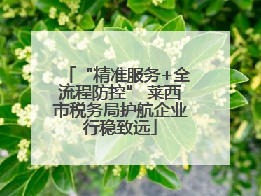 “精准服务+全流程防控” 莱西市税务局护航企业行稳致远
