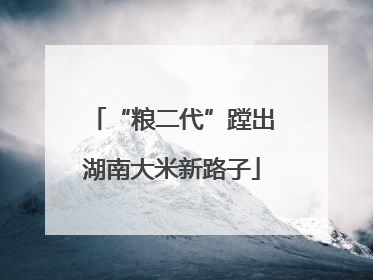 “粮二代”蹚出湖南大米新路子