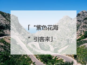 “紫色花海”引客来