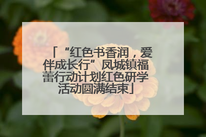 “红色书香润，爱伴成长行”凤城镇福蕾行动计划红色研学活动圆满结束