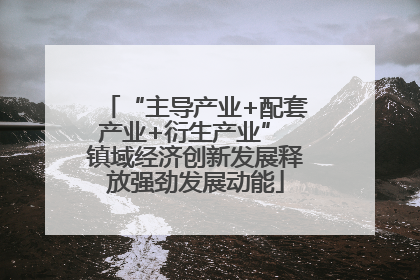 “主导产业+配套产业+衍生产业” 镇域经济创新发展释放强劲发展动能