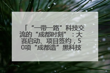 “一带一路”科技交流的“成都时刻”：大赛启动、项目签约，50项“成都造”黑科技吸引多国客商