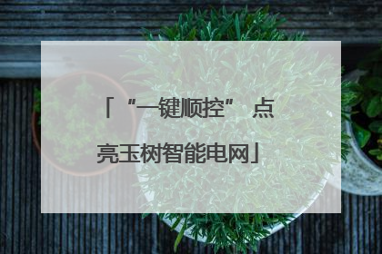 “一键顺控” 点亮玉树智能电网