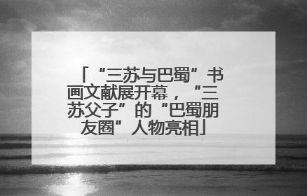 “三苏与巴蜀”书画文献展开幕，“三苏父子”的“巴蜀朋友圈”人物亮相