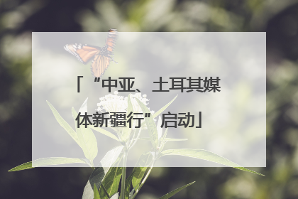 “中亚、土耳其媒体新疆行”启动