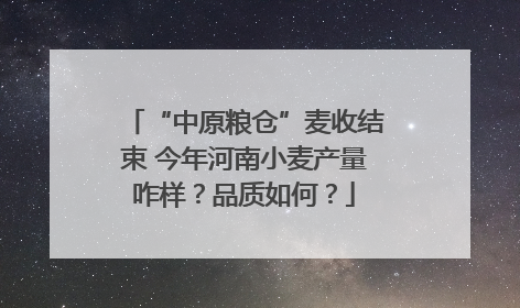 “中原粮仓”麦收结束 今年河南小麦产量咋样？品质如何？
