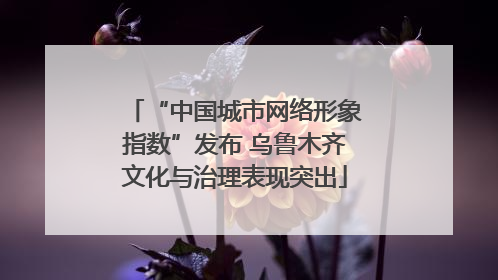 “中国城市网络形象指数”发布 乌鲁木齐文化与治理表现突出