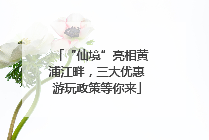“仙境”亮相黄浦江畔，三大优惠游玩政策等你来