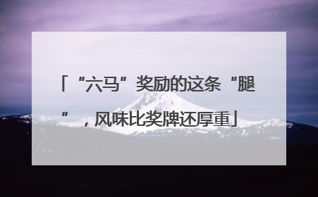 “六马”奖励的这条“腿”，风味比奖牌还厚重