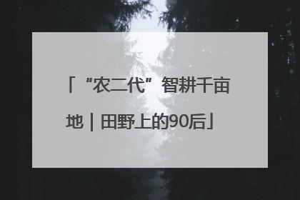 “农二代”智耕千亩地｜田野上的90后