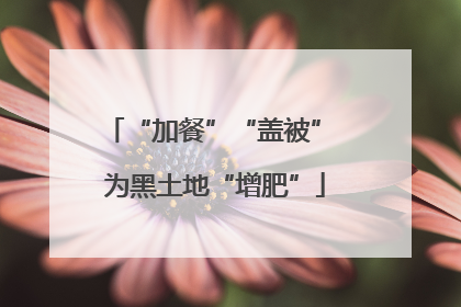 “加餐”“盖被” 为黑土地“增肥”