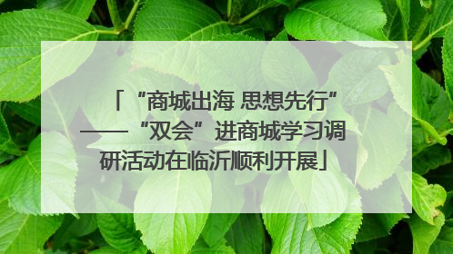 “商城出海 思想先行”——“双会”进商城学习调研活动在临沂顺利开展