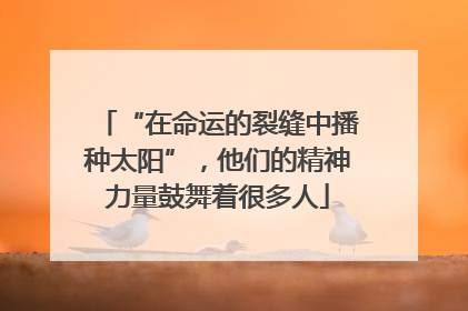 “在命运的裂缝中播种太阳”，他们的精神力量鼓舞着很多人