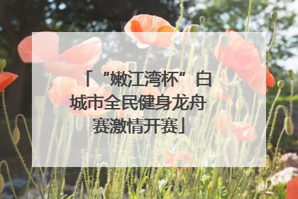 “嫩江湾杯”白城市全民健身龙舟赛激情开赛