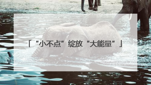 “小不点”绽放“大能量”