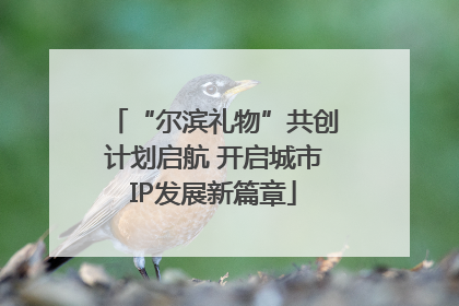 “尔滨礼物”共创计划启航 开启城市IP发展新篇章
