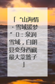 “山海情・雪域援梦”⑪：泉润雪域，白朗县变身西藏最大菜篮子