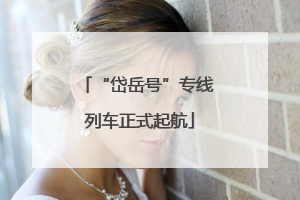 “岱岳号”专线列车正式起航