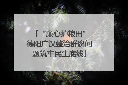 “廉心护粮田” 德阳广汉整治群腐问题筑牢民生底线