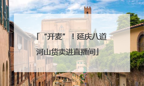 “开麦”！延庆八道河山货卖进直播间