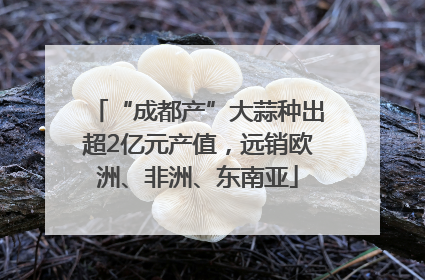 “成都产”大蒜种出超2亿元产值，远销欧洲、非洲、东南亚