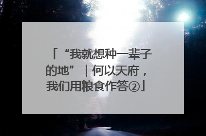 “我就想种一辈子的地”｜何以天府，我们用粮食作答②