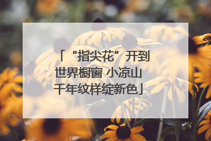 “指尖花”开到世界橱窗 小凉山千年纹样绽新色