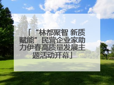 “林都聚智 新质赋能”民营企业家助力伊春高质量发展主题活动开幕