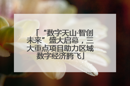 “数字天山·智创未来”盛大启幕，三大重点项目助力区域数字经济腾飞