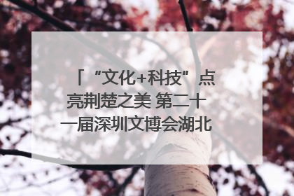 “文化+科技”点亮荆楚之美 第二十一届深圳文博会湖北馆抢“鲜”看