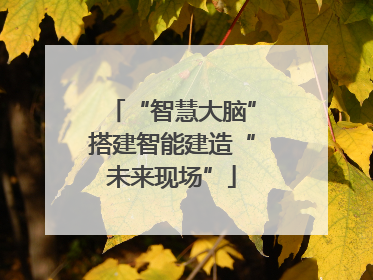 “智慧大脑”搭建智能建造“未来现场”