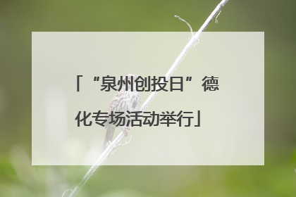 “泉州创投日”德化专场活动举行