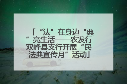 “法”在身边“典”亮生活——农发行双峰县支行开展“民法典宣传月”活动