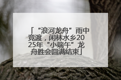 “浪河龙舟”雨中竞渡，闲林水乡2025年“小端午”龙舟胜会圆满结束