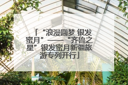 “浪漫圆梦 银发蜜月”——“齐鲁之星”银发蜜月新疆旅游专列开行