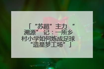 “苏超”主力 “溯源” 记：一所乡村小学如何炼成足球 “造星梦工场”